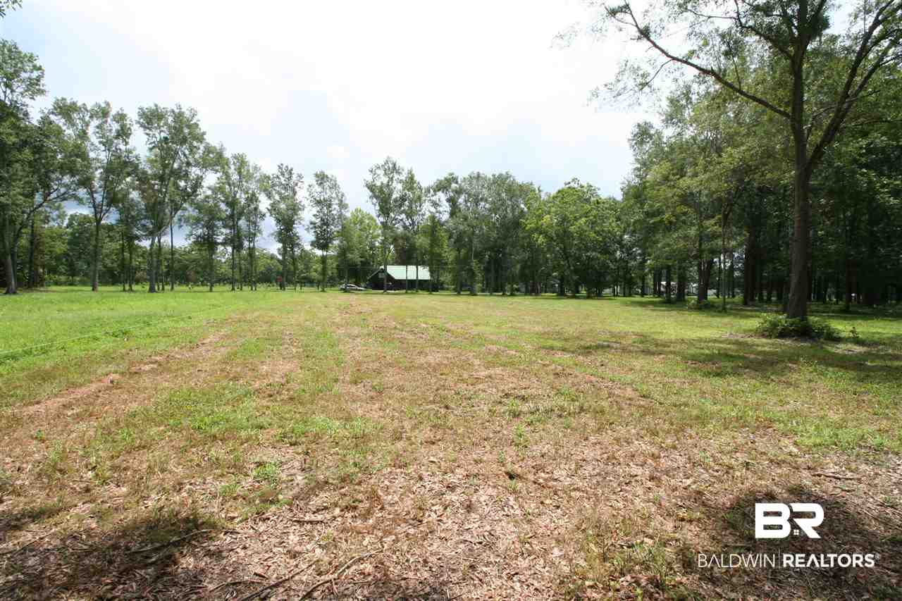 Douglas Road Grand Bay, AL 36541 - Photo 4 of 6