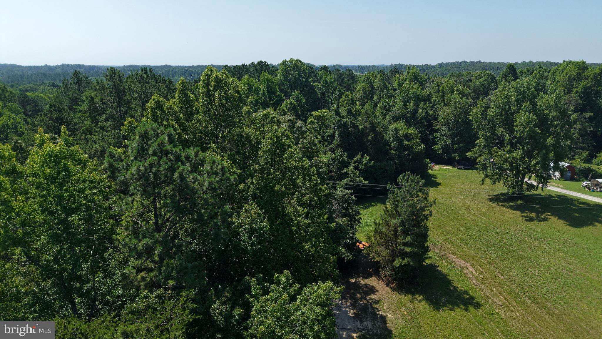 512 Mountain Hall Road Crewe, VA 23930 - Photo 34 of 50