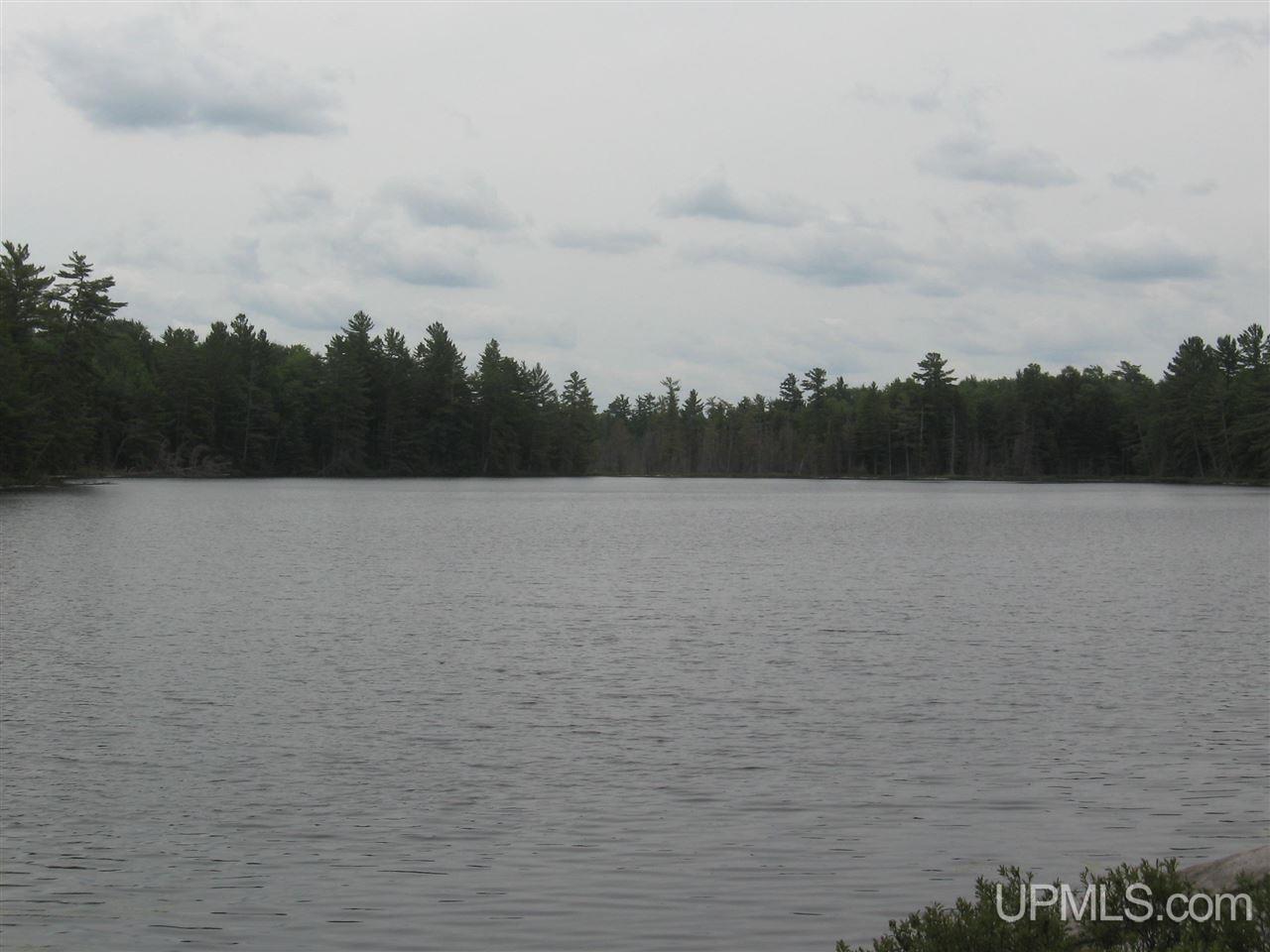 0 Rhody Cr, Unit CARTER LAKE RDP Seney, MI 49883 - Photo 18 of 36