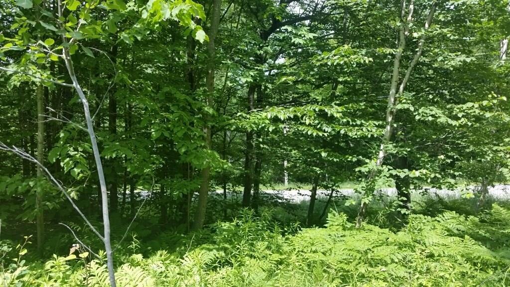 1332 Happytown Road Orland, ME 04472 - Photo 9 of 10 Photo