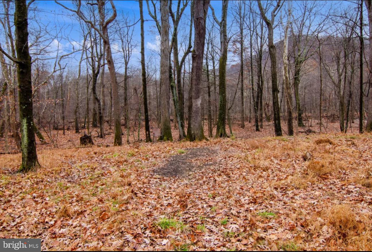 0 Gooseberry Road Fairhope, PA 15538 - Photo 12 of 26