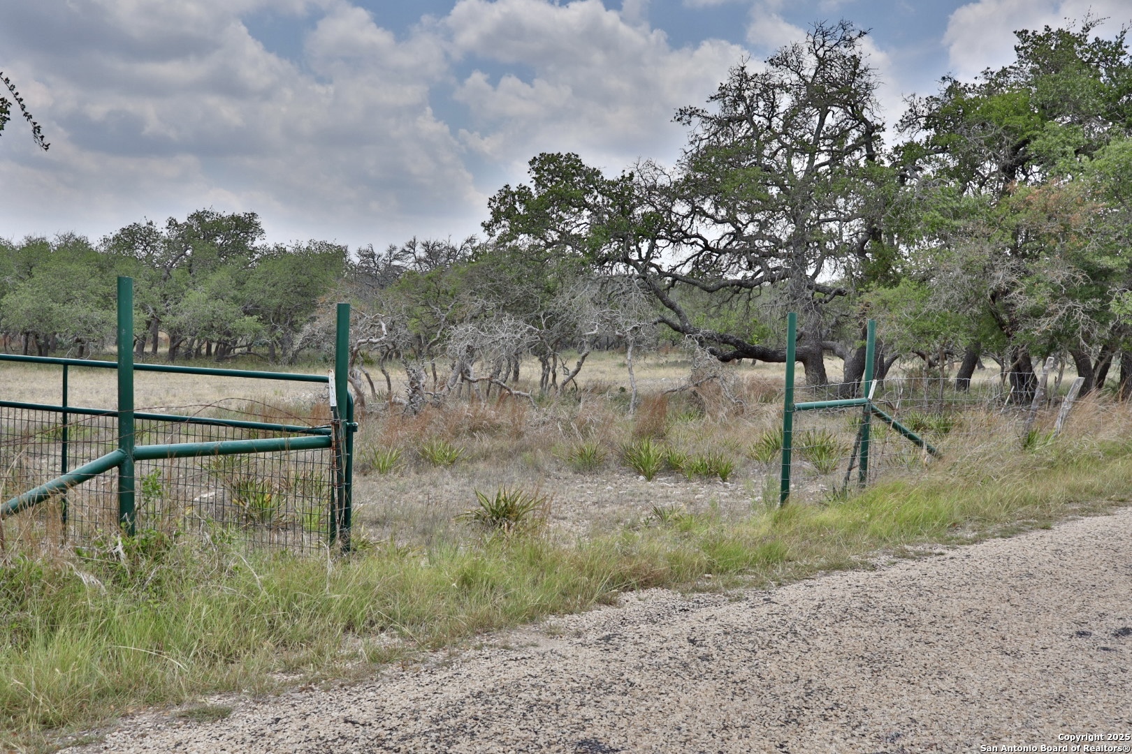 25 Dallas Josie Road Harper, TX 78631 - Photo 2 of 16 Gallery Image 2