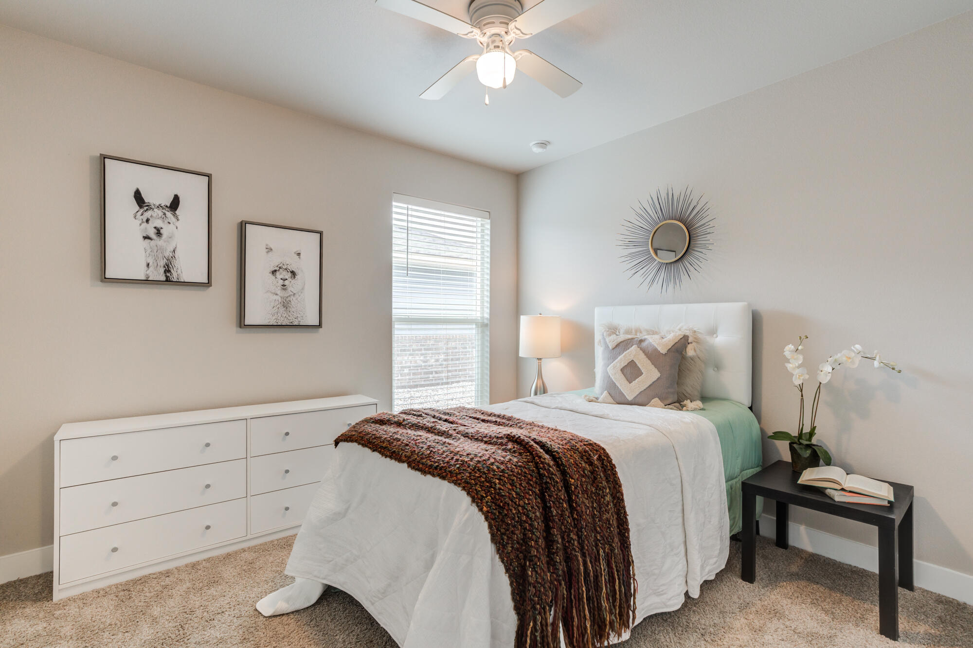 13805 Paris Avenue Lubbock, TX 79423 - Photo 20 of 26 13805 Paris Ave