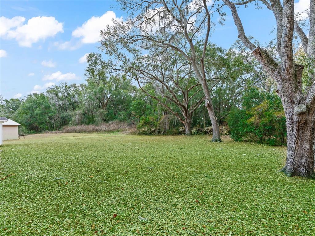 16160 Southeast 97th Terrace Road Summerfield, FL 34491 - Photo 25 of 39 a view of outdoor space and yard