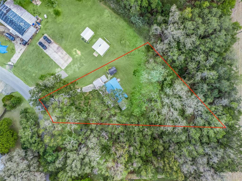 16160 Southeast 97th Terrace Road Summerfield, FL 34491 - Photo 31 of 39 a view of a small yard