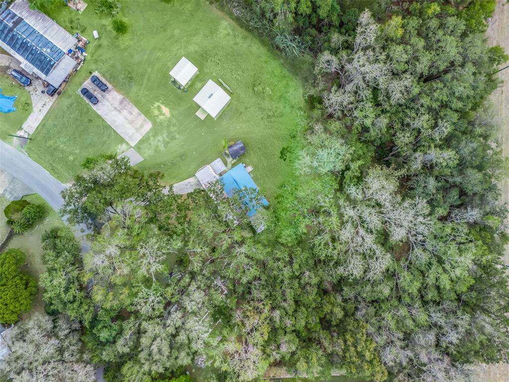 16160 Southeast 97th Terrace Road Summerfield, FL 34491 - Photo 32 of 39 a view of a small yard