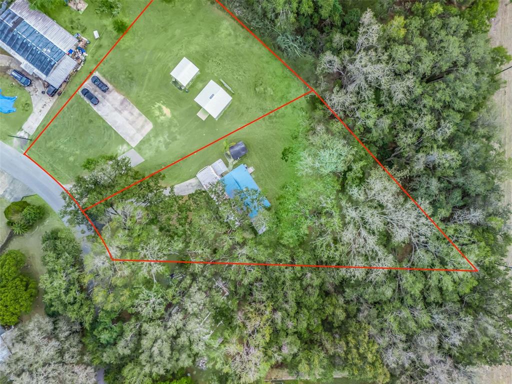 16160 Southeast 97th Terrace Road Summerfield, FL 34491 - Photo 36 of 39 a view of a green yard