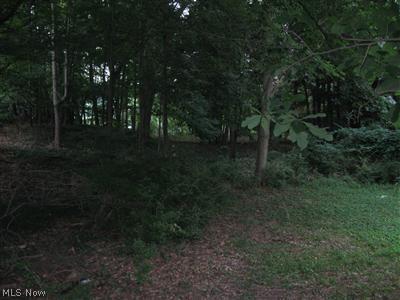 30002 Ridge Road Wickliffe, OH 44092 - Photo 7 of 10 Gallery Image 7