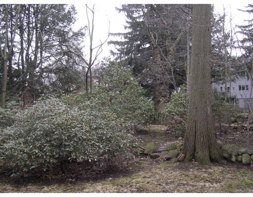17 Jefferson Road Winchester, MA 01890 - Photo 6 of 6