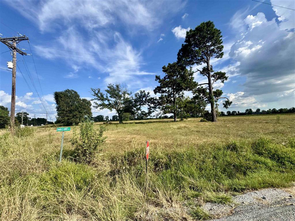 Nielson Road Kinder, LA 70648 - Photo 6 of 6 Gallery Image 6