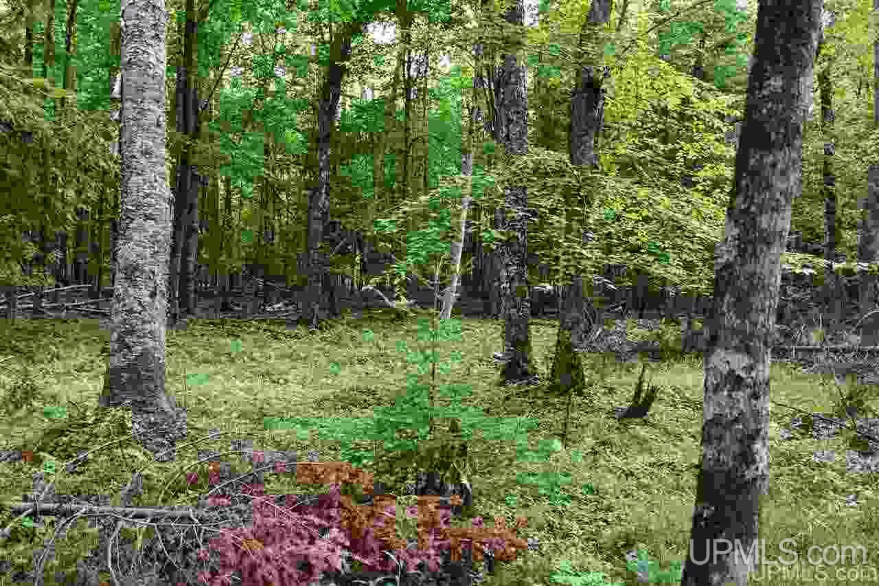 Tbd Tbd Jimtown (15 Lane) Road Menominee, MI 49858 - Photo 4 of 20