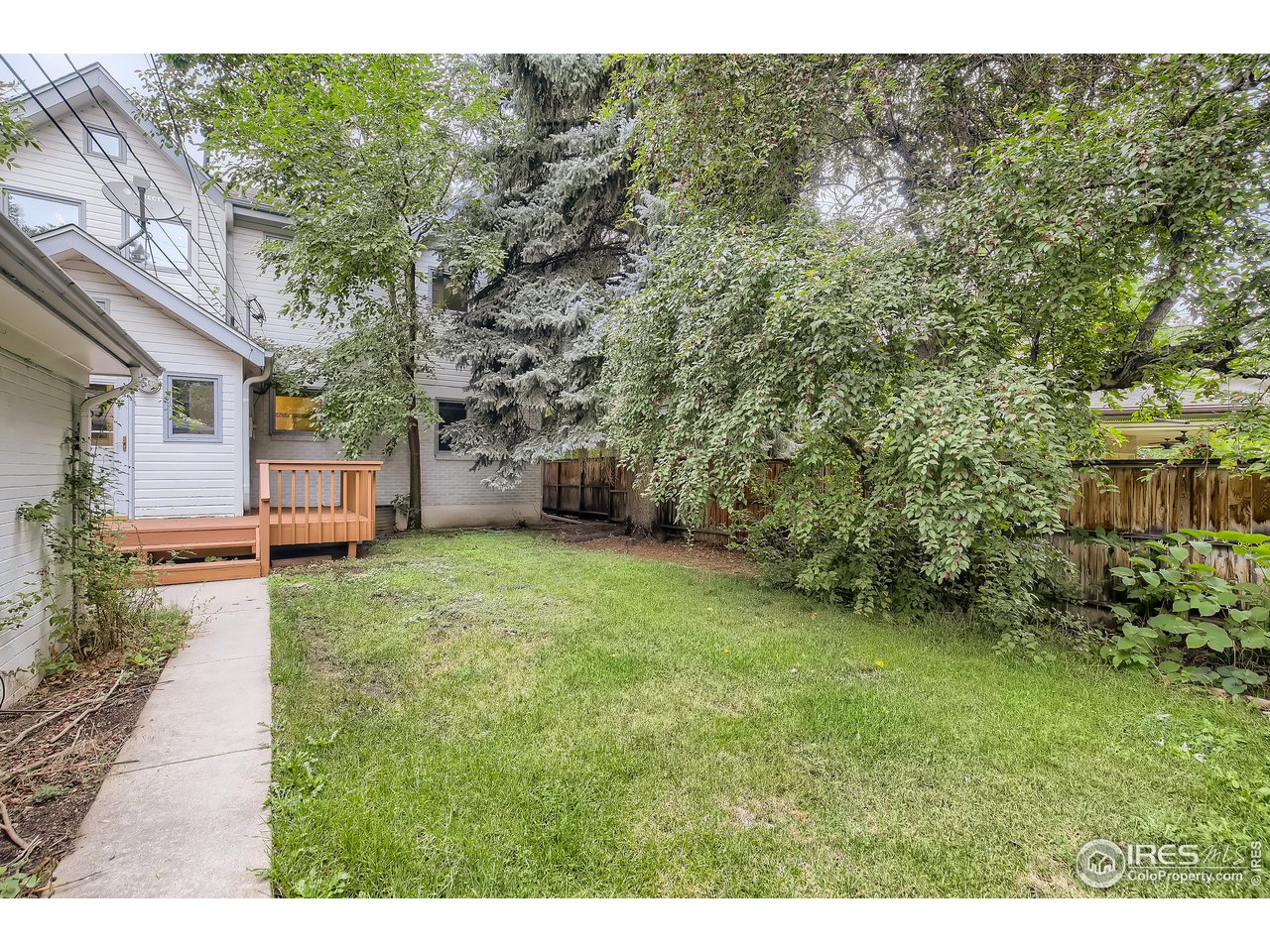 520 Mapleton Avenue Boulder, CO 80302 - Photo 22 of 24 a view of a backyard with plants and large trees