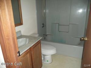 668 Behrens Road Jim Thorpe, PA 18229 - Photo 15 of 16 main bath