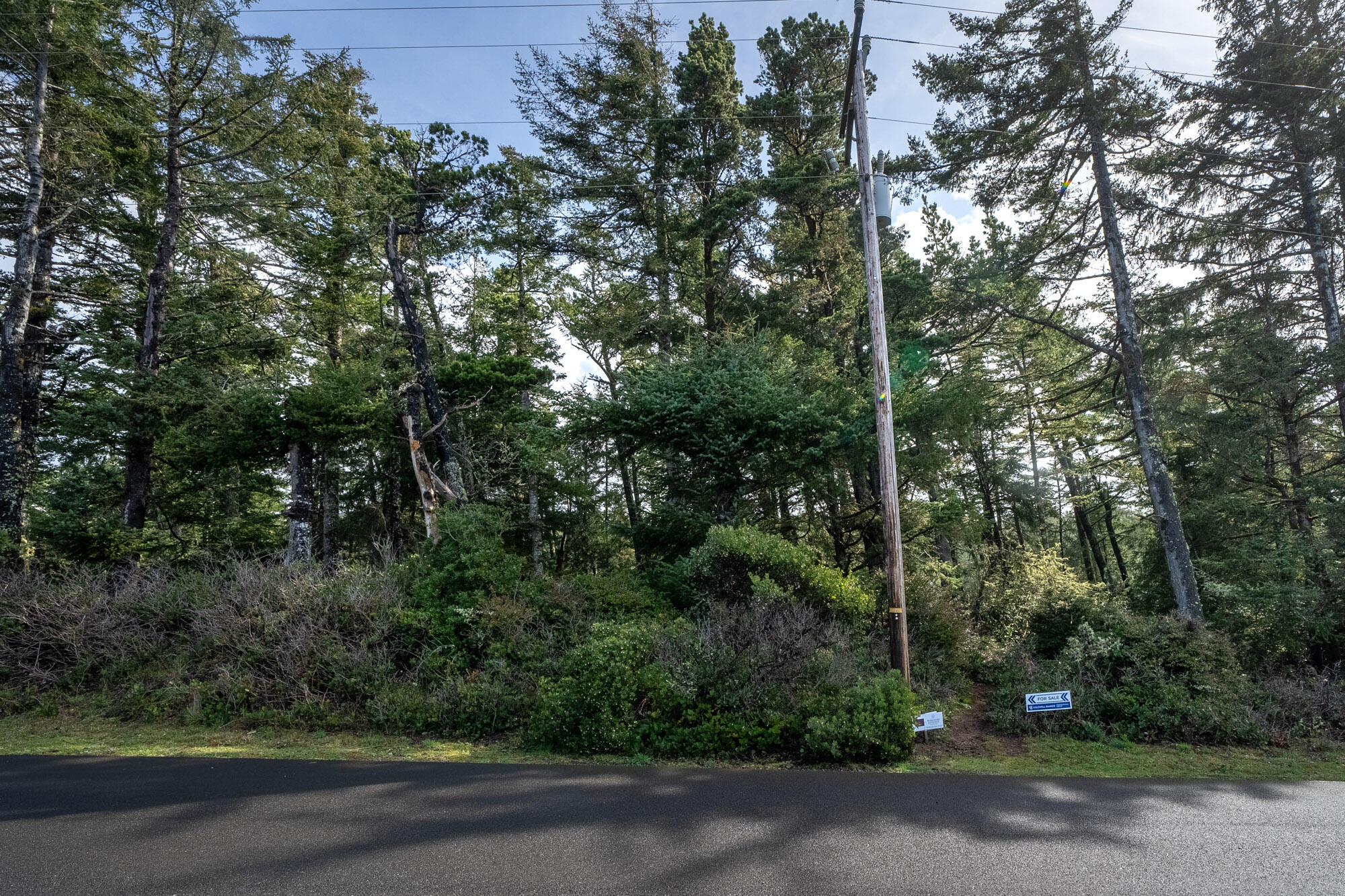 303 Ridgewood Road Tillamook, OR 97141 - Photo 3 of 10 Looking into lot