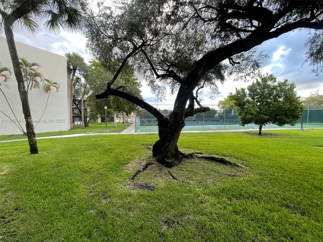 a view of a park with a tree