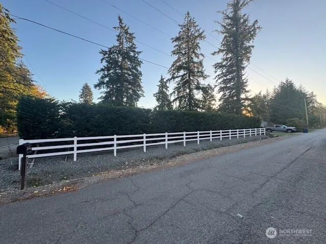 a view of a yard with a tree