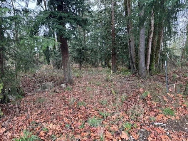 a fire hydrant in the middle of a field