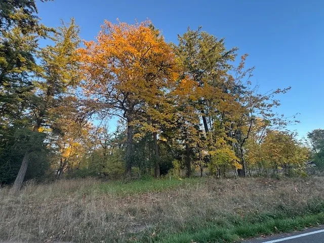 a backyard of a house with lots of green space