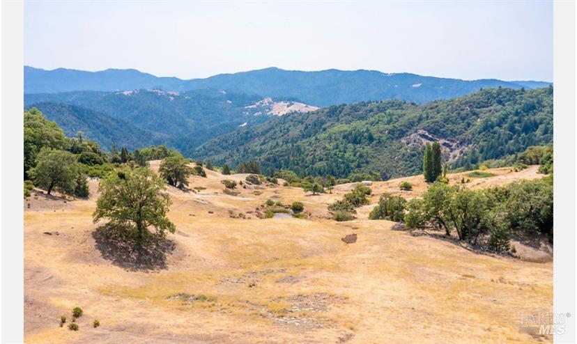 59665 Bell Springs Road Laytonville, CA 95454 - Photo 10 of 22 Gallery Image 10