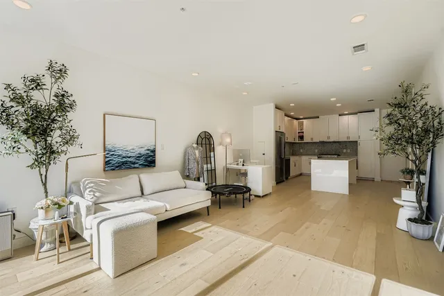 a living room with furniture and a potted plant