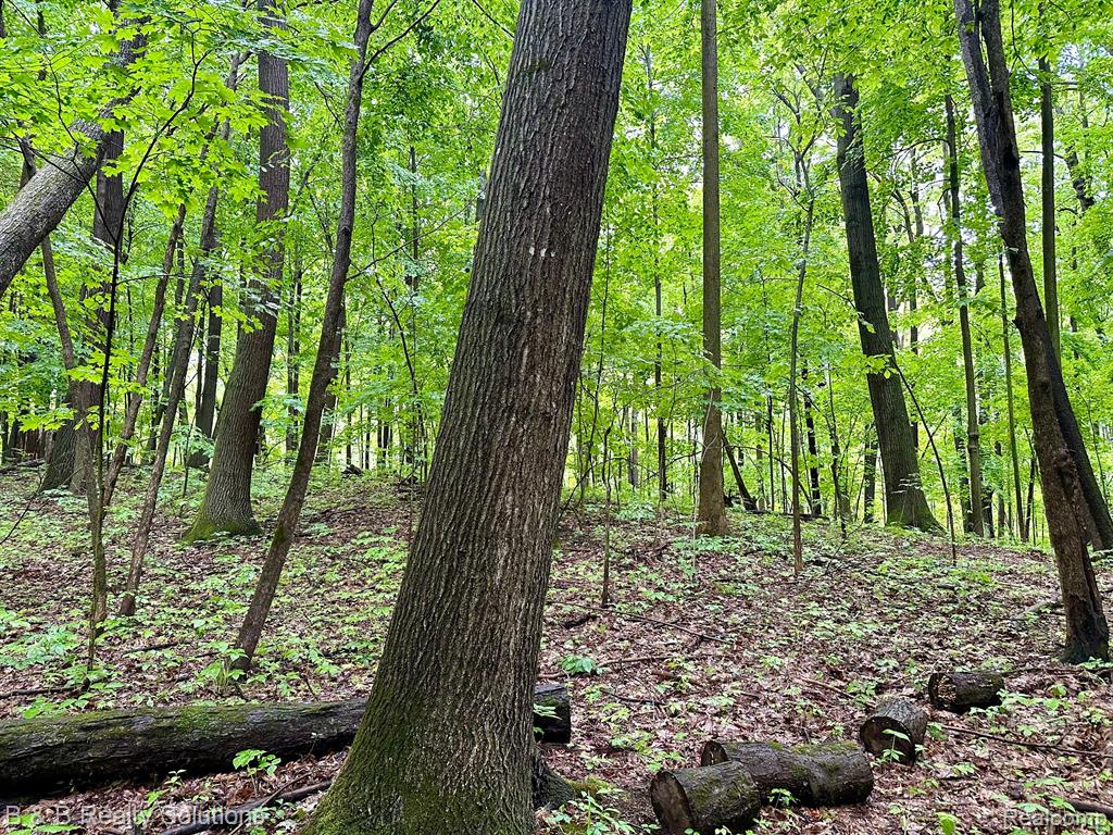 0 South Lake Pleasant Road Metamora, MI 48455 - Photo 18 of 32