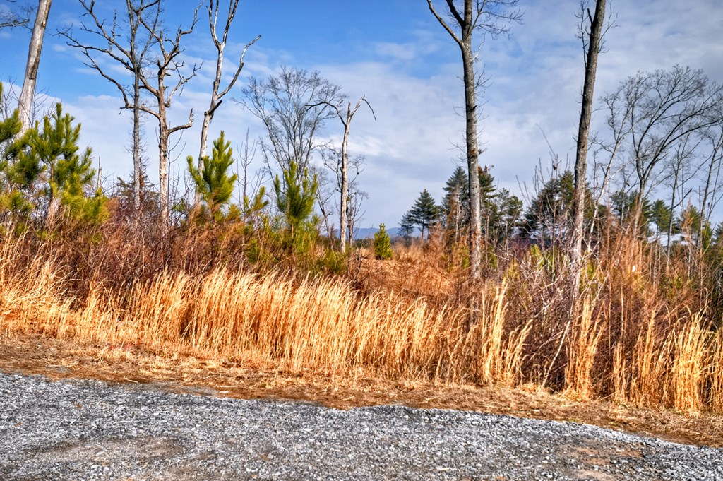 28 Mountaintown Road Ellijay, GA 30540 - Photo 2 of 54 a view of a backyard of the house