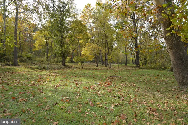 a view of outdoor space with trees all around