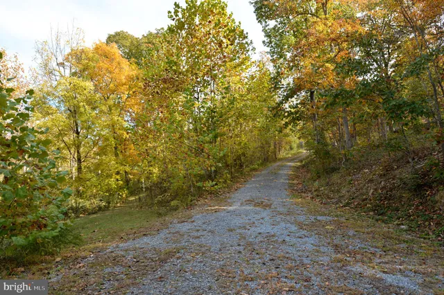 a living room filled with furniture and a chair