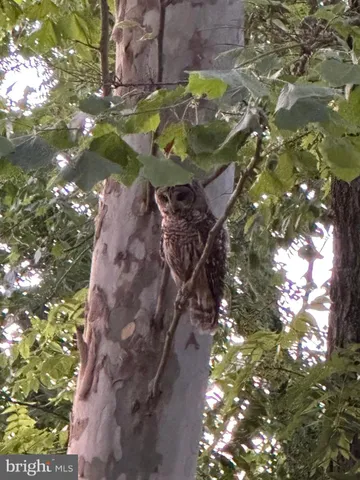 $425,000 | 1 River Forest Lane, Harpers Ferry, WV 25425