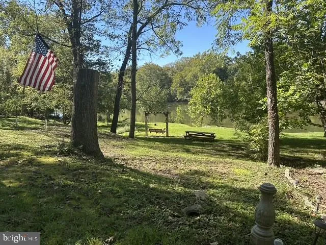 a view of a yard with of trees
