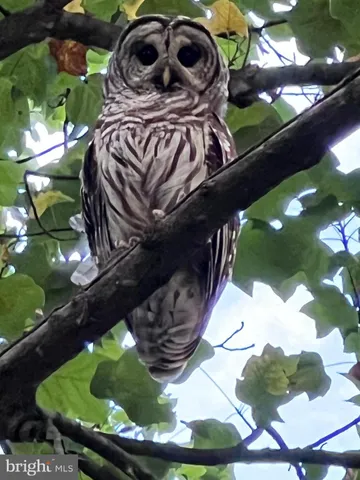 $425,000 | 1 River Forest Lane, Harpers Ferry, WV 25425