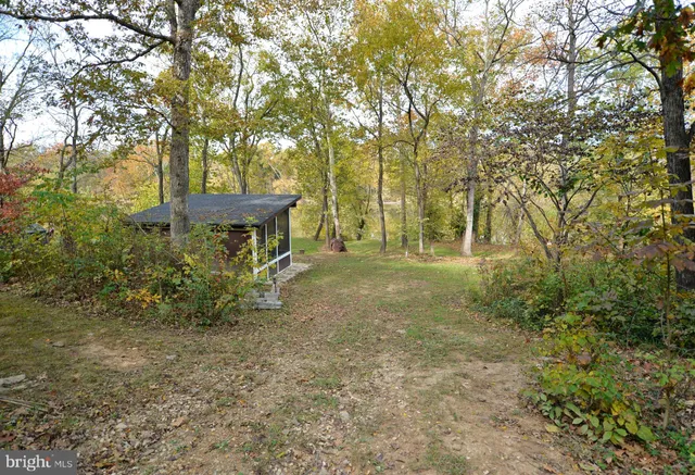 a view of a tree in the middle of a yard