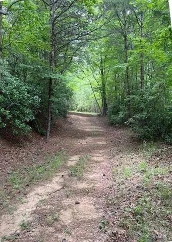 $73,900 | Lot 46 Lake Adger Parkway, Mill Spring, NC 28756