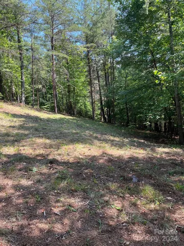 $73,900 | Lot 46 Lake Adger Parkway, Mill Spring, NC 28756