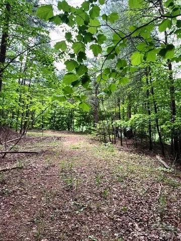 $73,900 | Lot 46 Lake Adger Parkway, Mill Spring, NC 28756