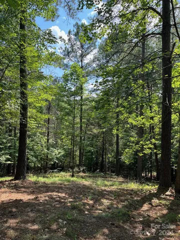 $73,900 | Lot 46 Lake Adger Parkway, Mill Spring, NC 28756