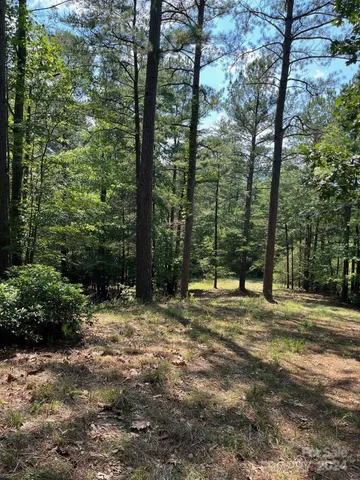 $73,900 | Lot 46 Lake Adger Parkway, Mill Spring, NC 28756