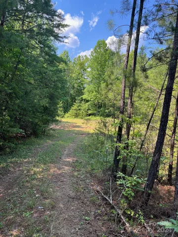 $73,900 | Lot 46 Lake Adger Parkway, Mill Spring, NC 28756