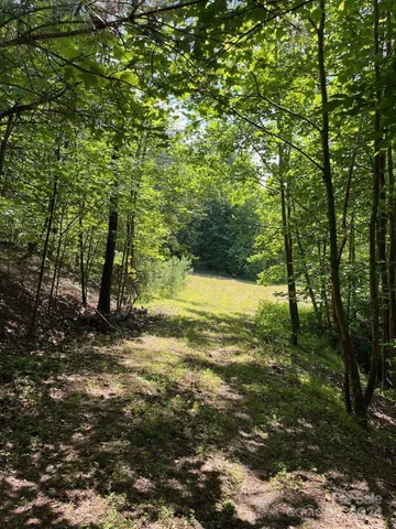 $73,900 | Lot 46 Lake Adger Parkway, Mill Spring, NC 28756