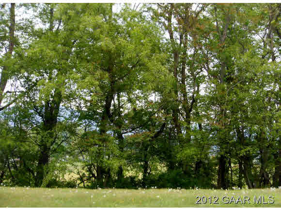 220 Henkel Road Waynesboro, VA 22980 - Photo 8 of 12 a view of a yard