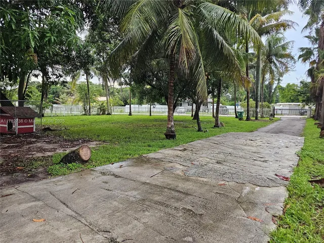 a view of a park with large trees