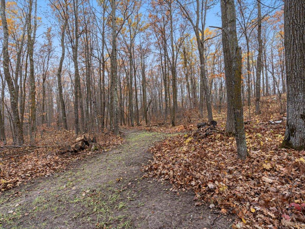 3918 44th Street Southwest Pine River, MN 56474 - Photo 46 of 53