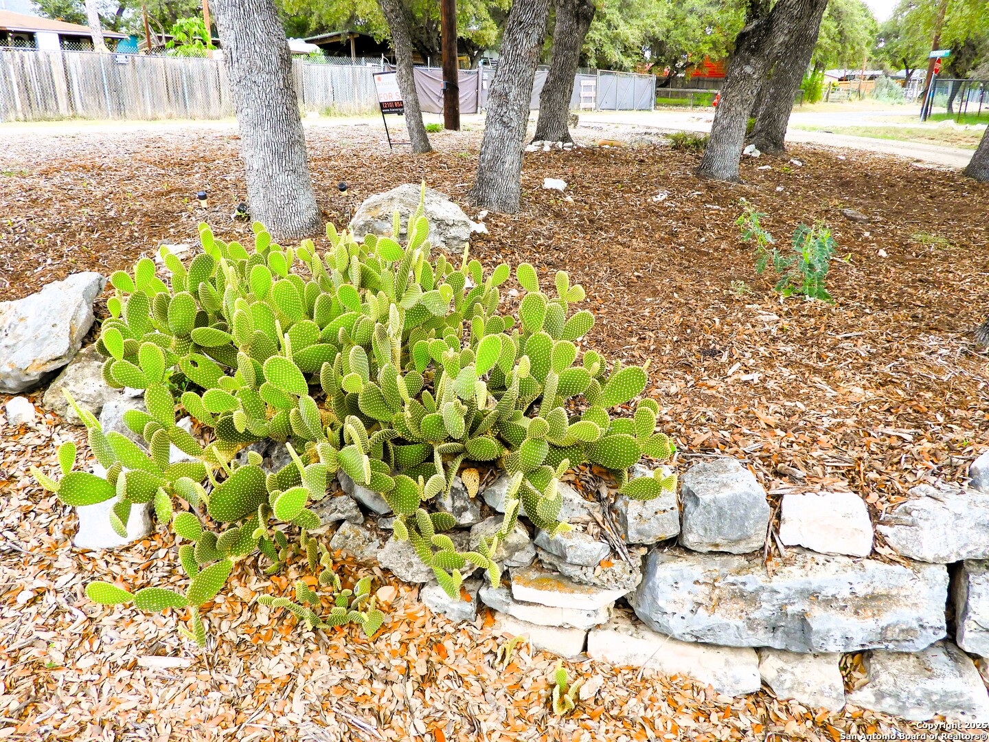 1497 Pebble Beach Road Lakehills, TX 78063 - Photo 43 of 44