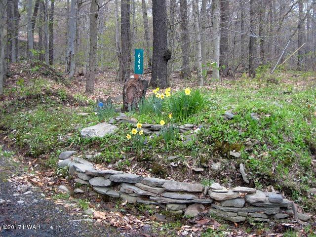 645 Ravnikar Road Forest City, PA 18421 - Photo 3 of 19