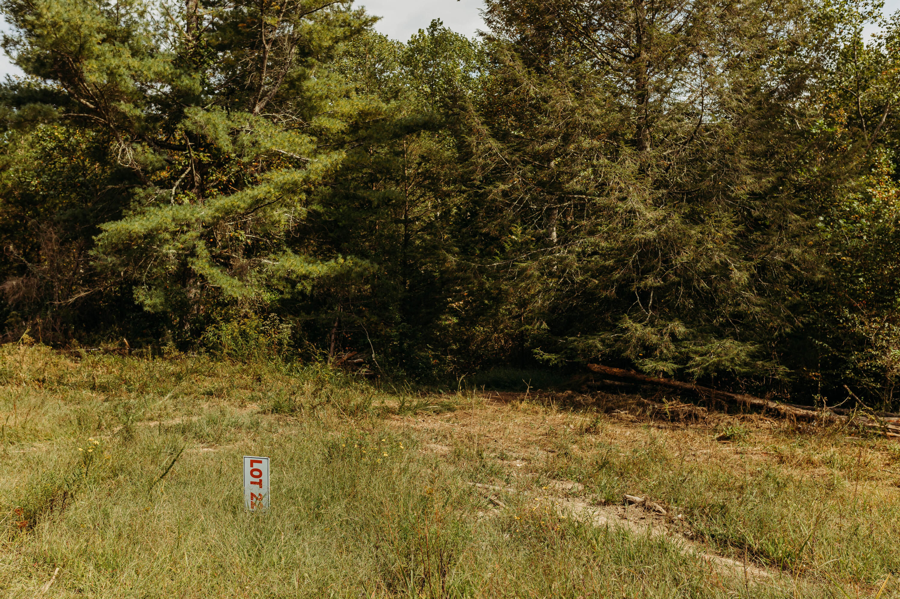 Tbd Lot 22 Sandy Ridge Road Campton, KY 41301 - Photo 1 of 15 FO7A1039
