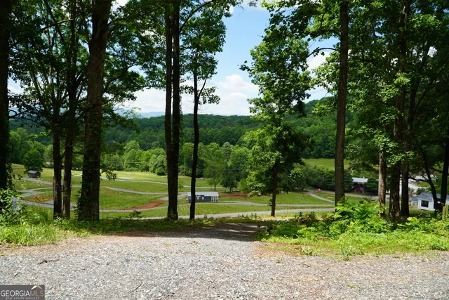 a view of a garden with a bench