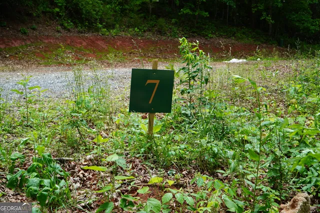 a view of a yard with plants and a yard