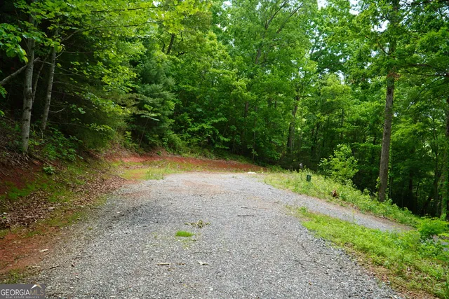 a view of a park with large trees