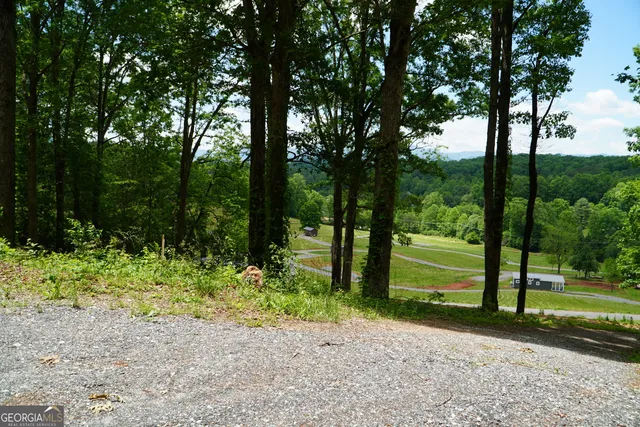 a view of a park with large trees