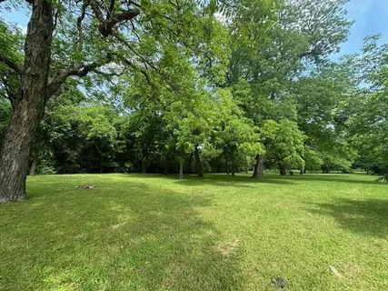 a view of a grassy field with trees in the background